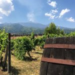 Mount Etna wine tour - Walk in Nature